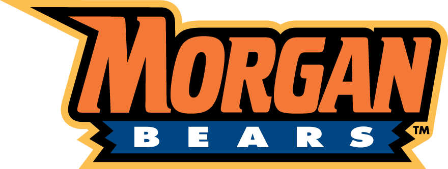 Morgan State Bears 2002-Pres Wordmark Logo v6 DIY iron on transfer (heat transfer)